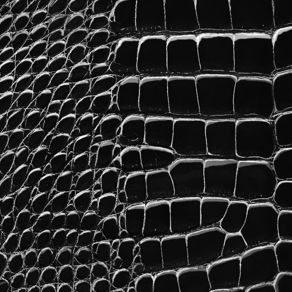 Capucines Bb Crocodilien Brillant in Wanita