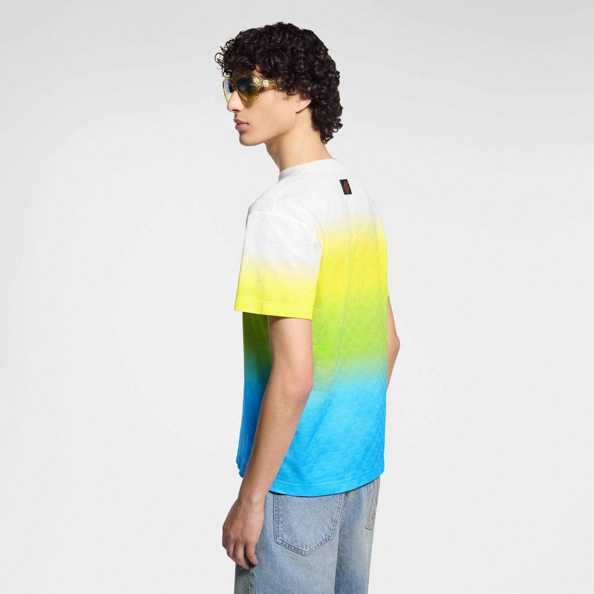 Damier Gradient Jacquard Cotton T-Shirt  in Pria