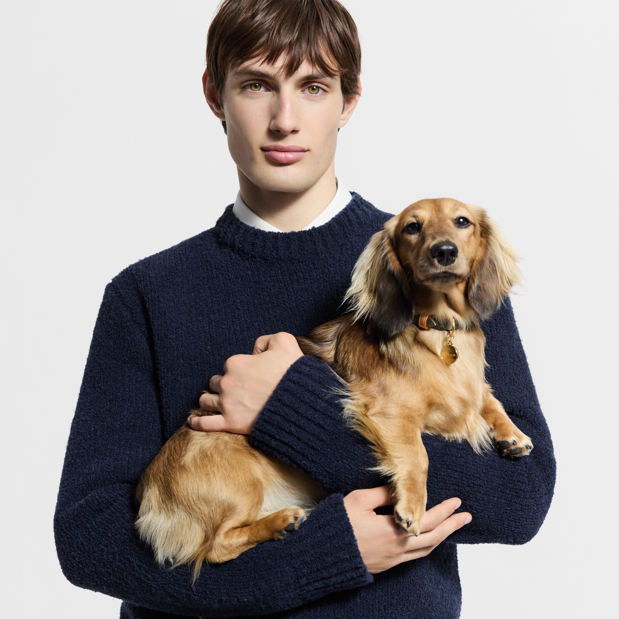 Dog Collar XS S00 in Trunks, Travel and Home