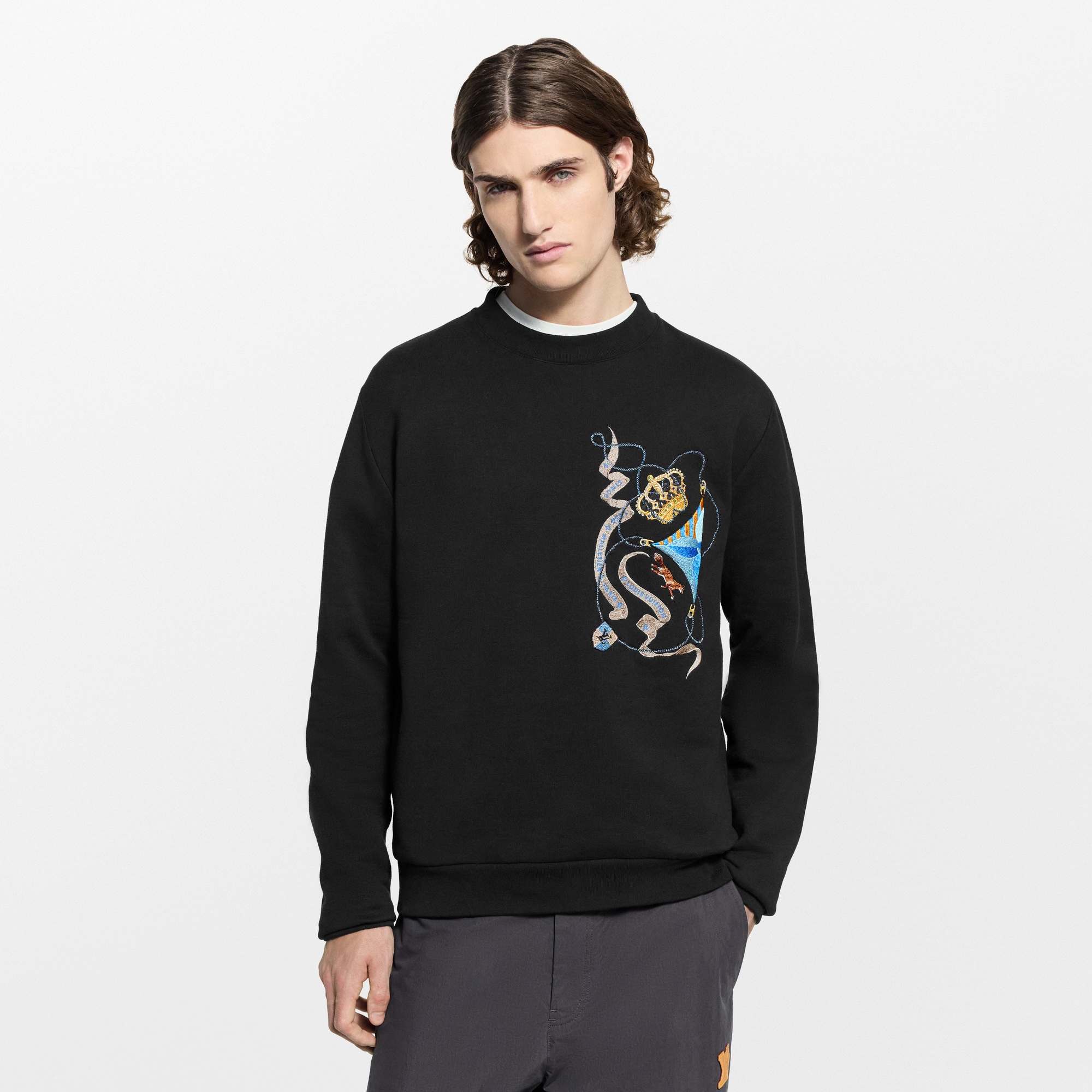 Embroidered Long-Sleeved Sweatshirt  in Pria