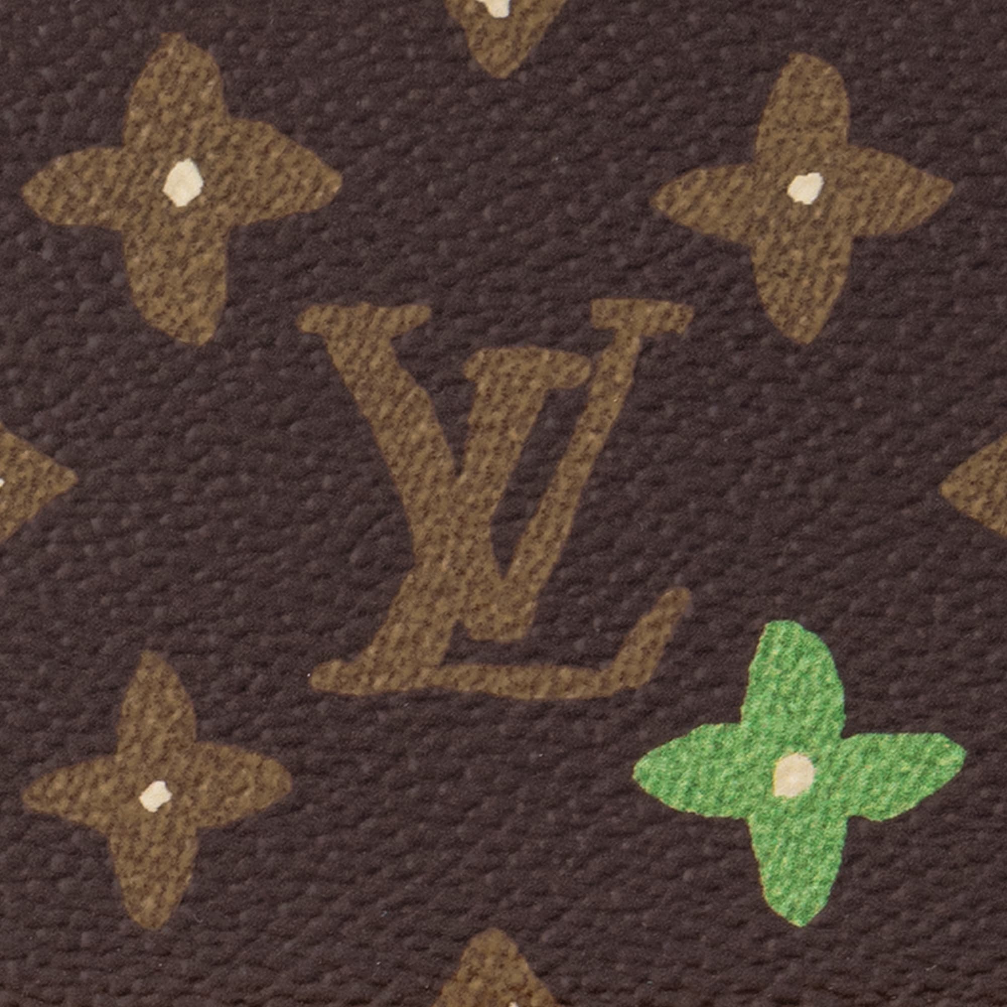 Handle Trunk Monogram Other in Les Extraordinaires