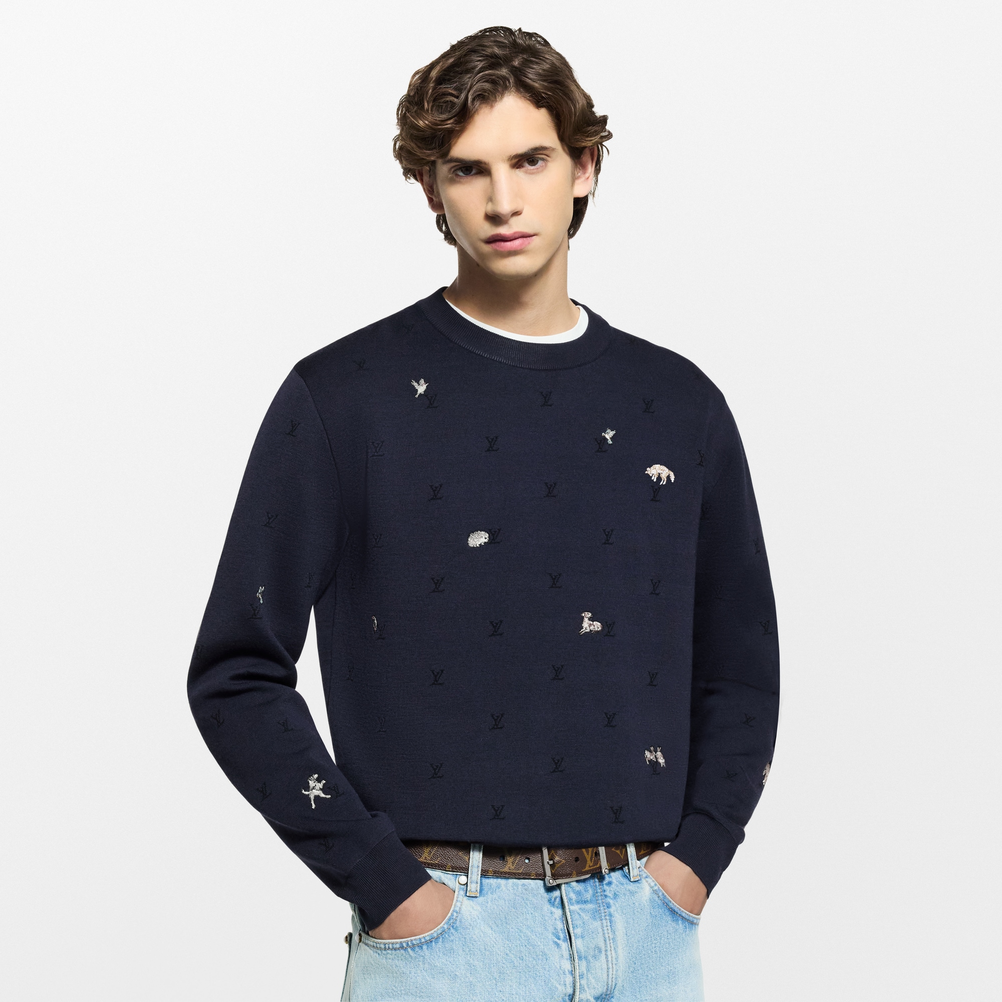 LV Blason Long-Sleeved Crewneck  in Pria
