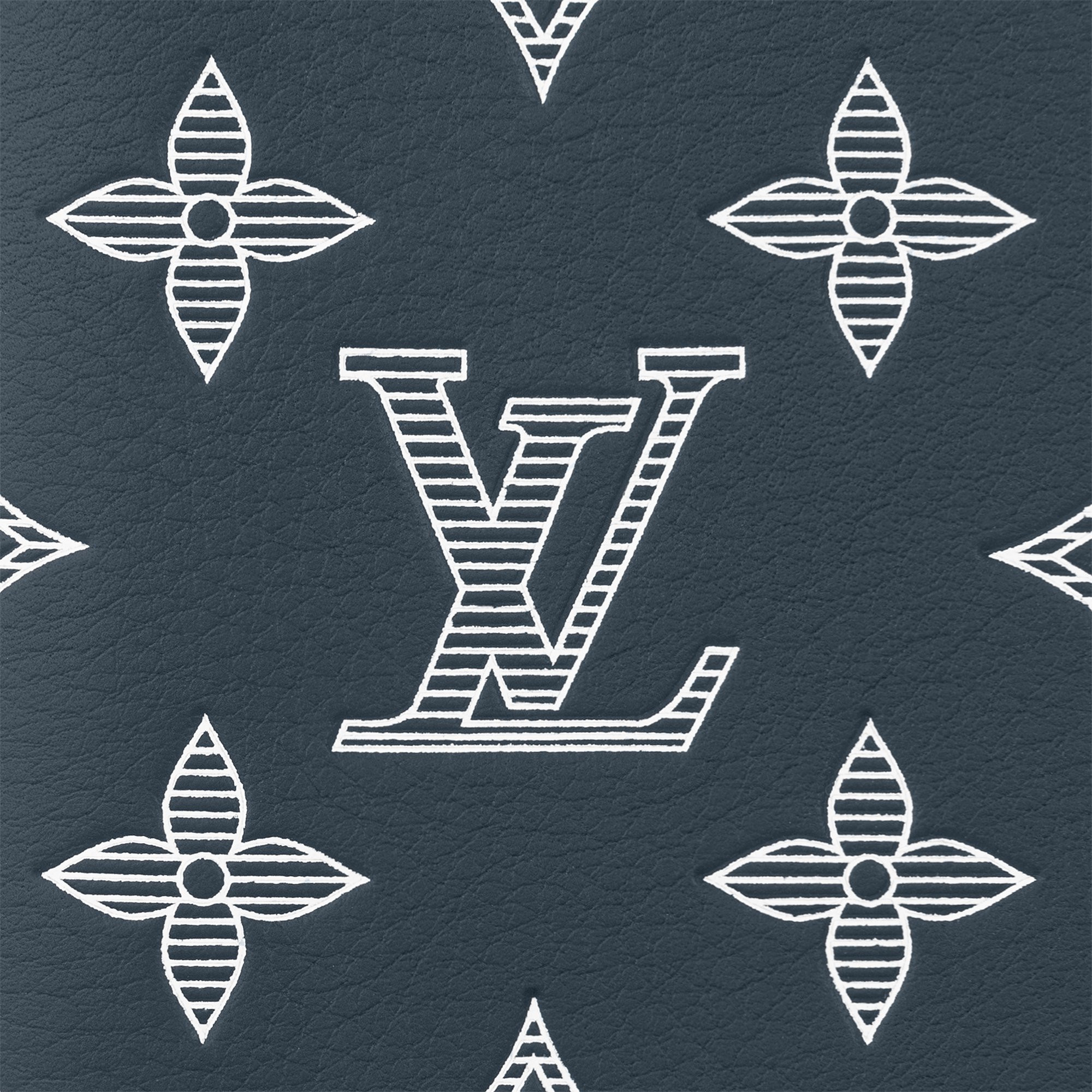 Pocket Organizer Monogram Shadow Leather in Pria