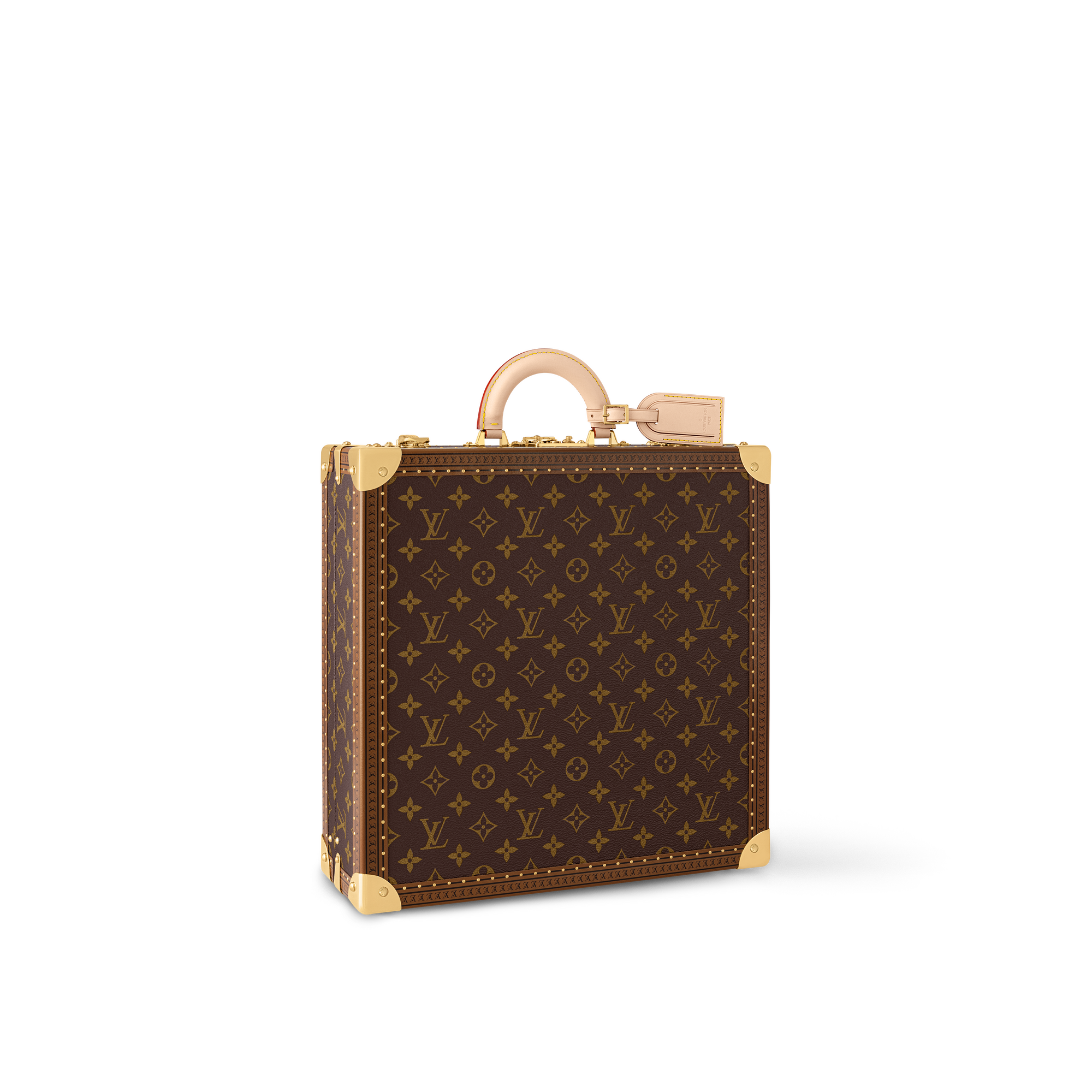 Vivienne Adventures Box Monogram in Trunks, Travel and Home